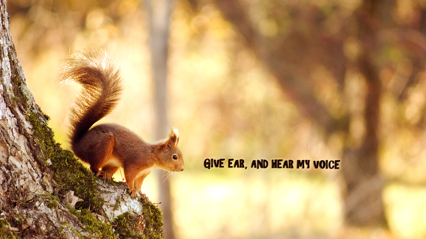 God voice wallpaper_1366x768